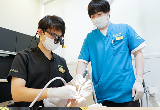 研修医希望